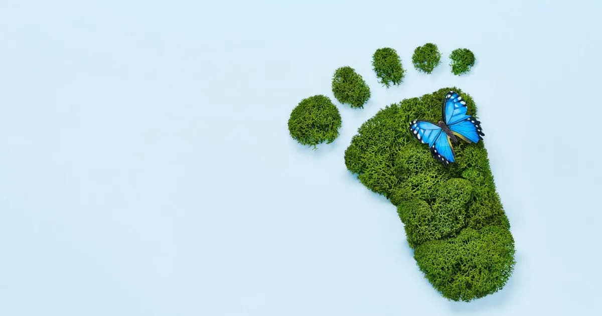 Building a Culture of Sustainability Starts with Awareness